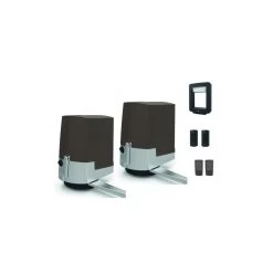 Kit Complet Motorisation à Bras Articulés 24V CAME Pour Portails Bat...