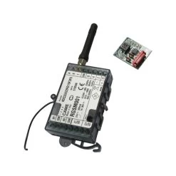 GATEWAY Module Radio Esclave Pour Automatismes CAME