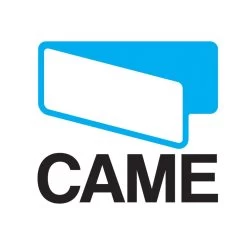 Télécommande 4 Canaux - Double Fréquence - Came 001atpd4